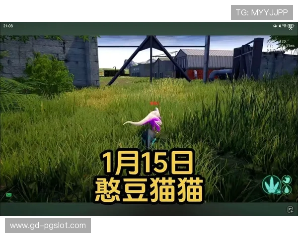 憨豆与猫猫一起玩耍的趣味游戏揭秘 轻松欢乐的互动时光分享